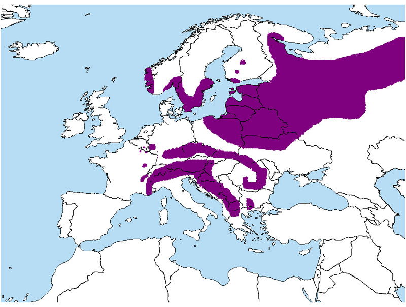 Foto: Alunarul - răspândire