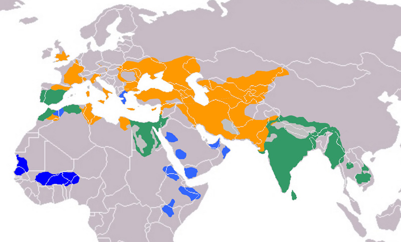 Foto: Pasărea ogorului - răspândire
