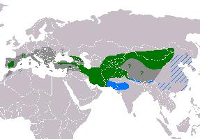 Foto: Vulturul negru - răspândire