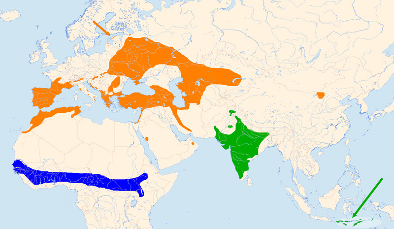 Foto: Șerparul european - răspândire