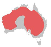 Foto: Papagalul nimfă - răspândire